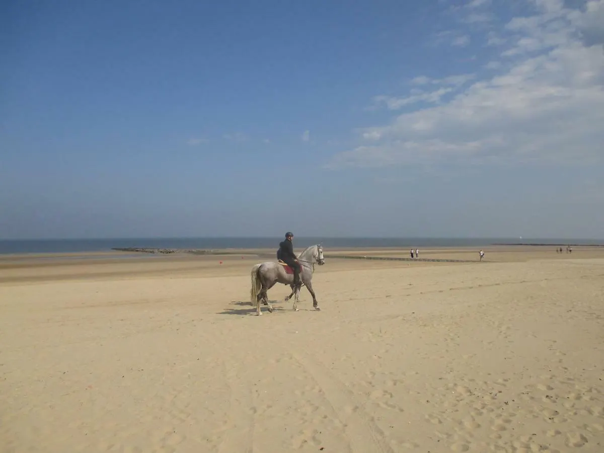 Studio On The Beach With Sea View Middelkerke 0*,  Belgien